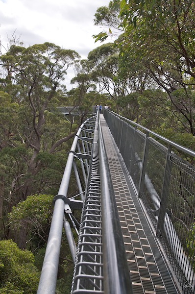 AustraliaPerth 10  039